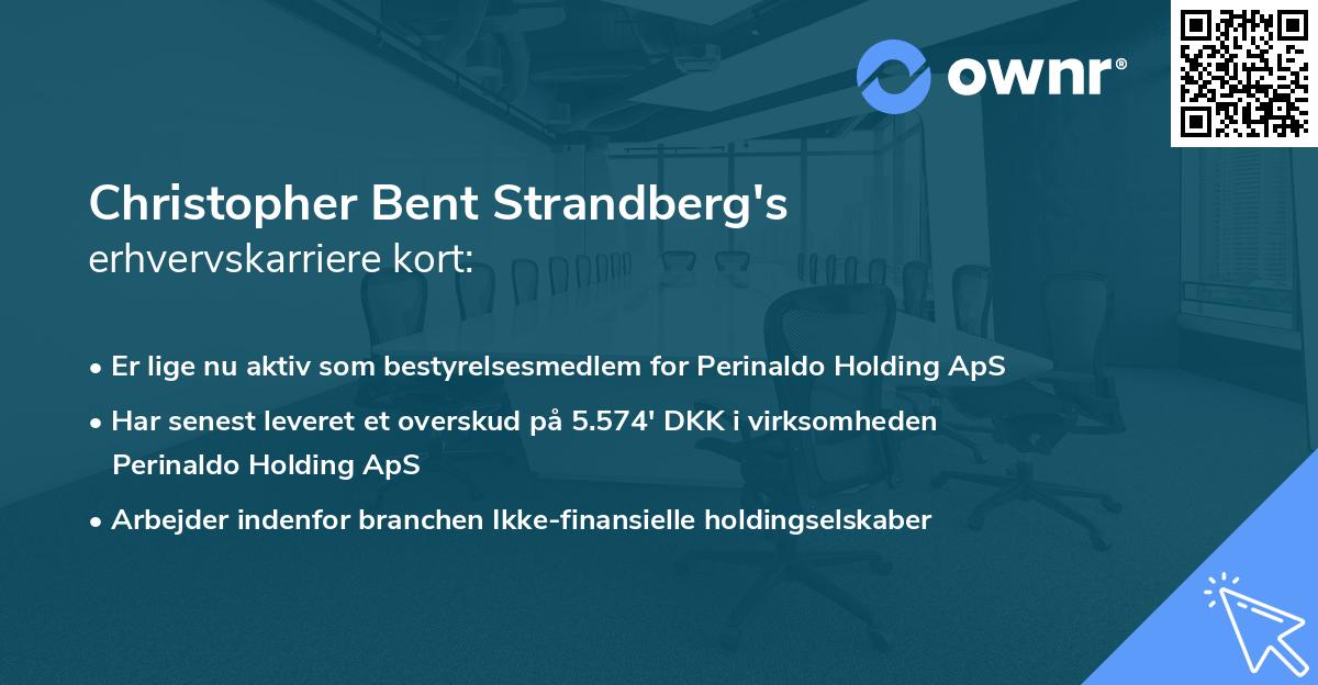 Christopher Bent Strandberg's erhvervskarriere kort