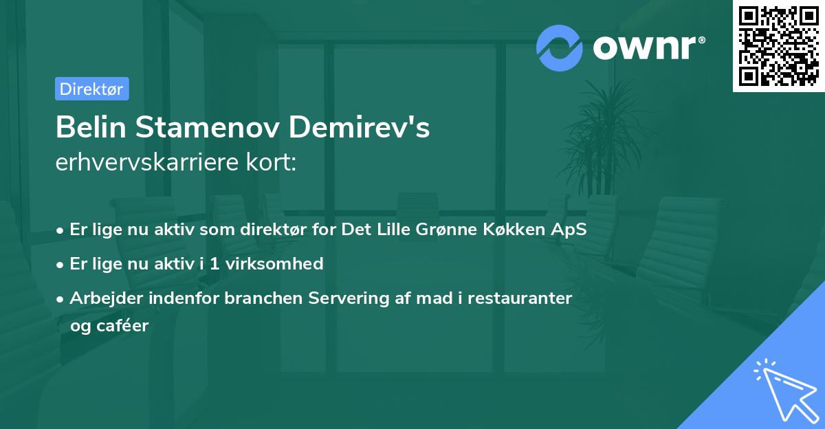 Belin Stamenov Demirev's erhvervskarriere kort