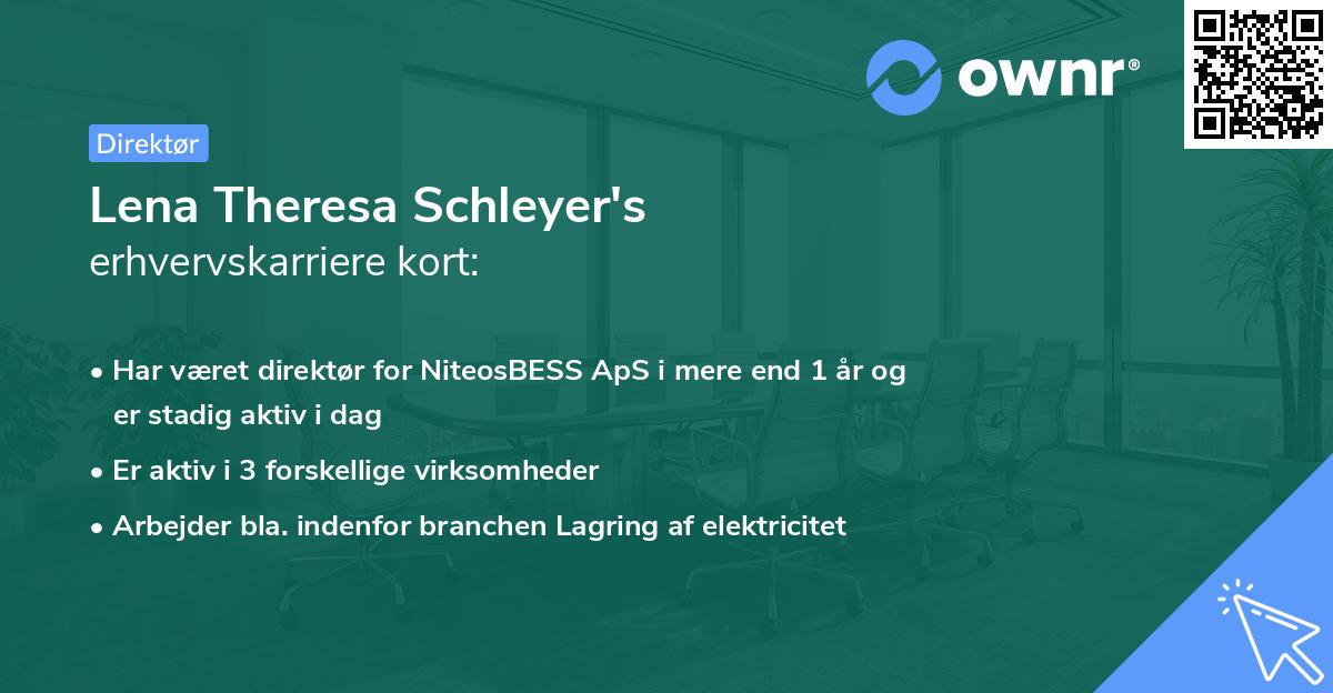 Lena Theresa Schleyer's erhvervskarriere kort