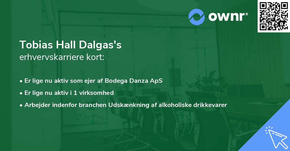 Tobias Hall Dalgas's erhvervskarriere kort