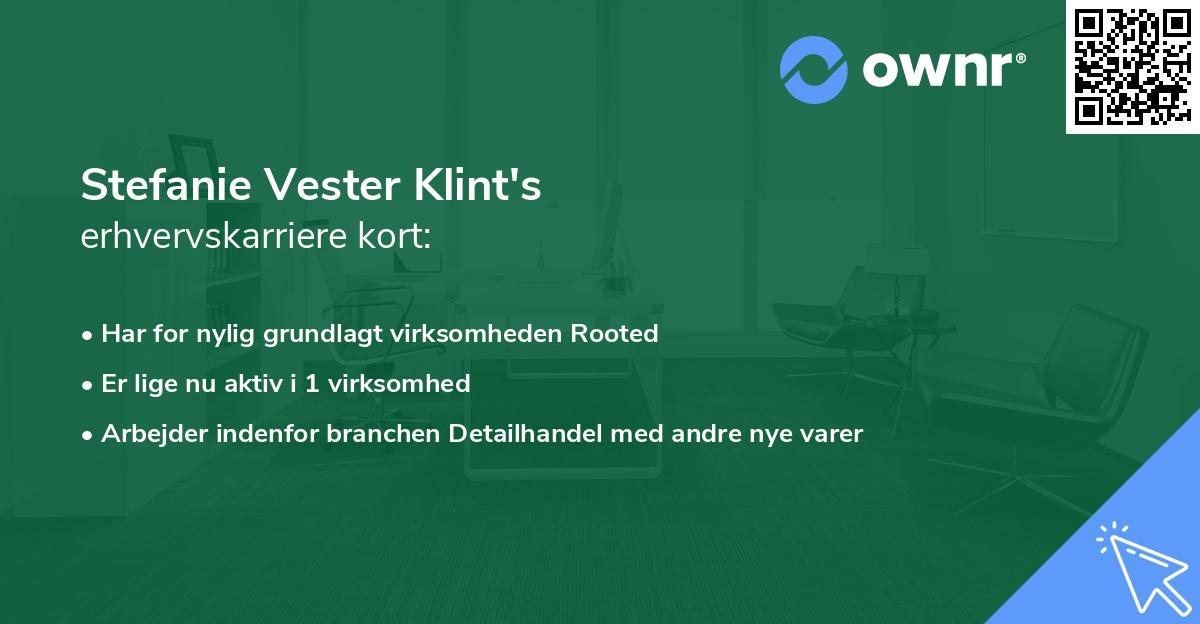 Stefanie Vester Klint's erhvervskarriere kort