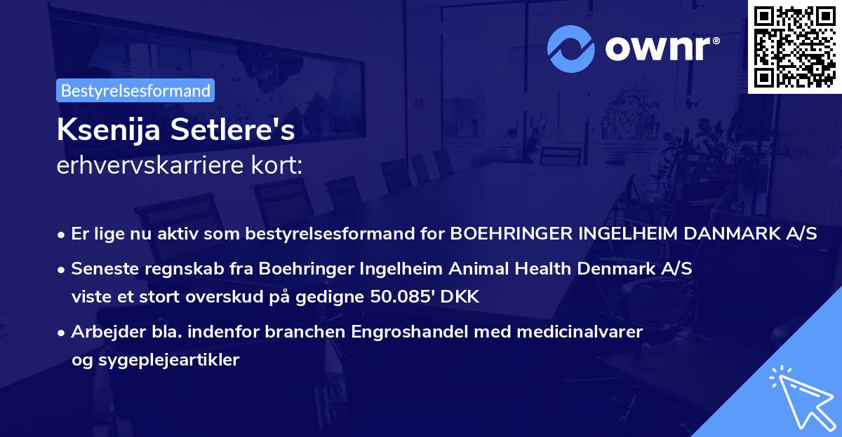 Ksenija Setlere's erhvervskarriere kort