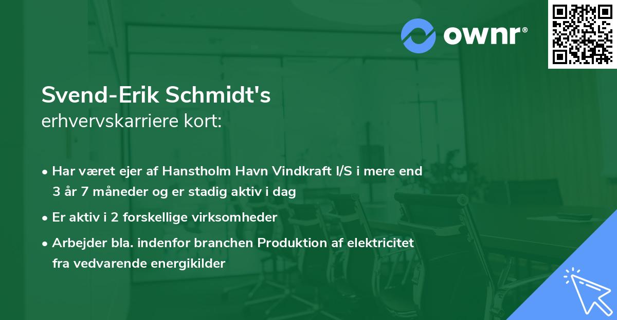 Svend-Erik Schmidt's erhvervskarriere kort