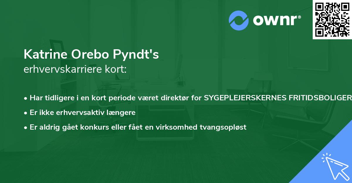 Katrine Orebo Pyndt's erhvervskarriere kort