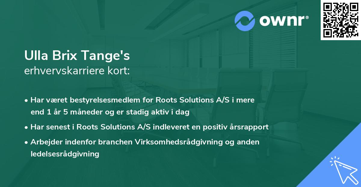 Ulla Brix Tange's erhvervskarriere kort