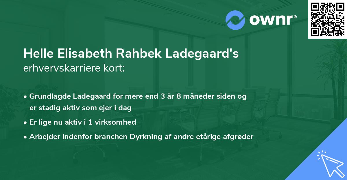 Helle Elisabeth Rahbek Ladegaard's erhvervskarriere kort