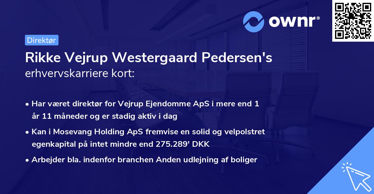 Rikke Vejrup Westergaard Pedersen's erhvervskarriere kort
