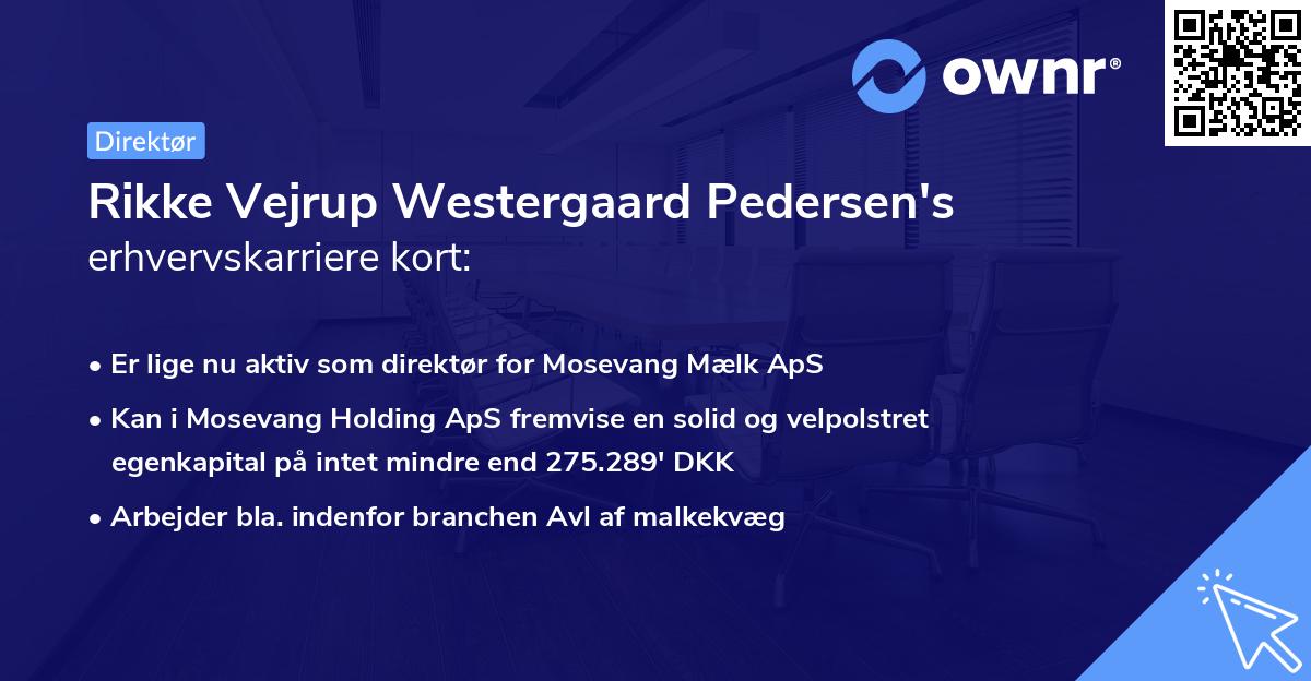 Rikke Vejrup Westergaard Pedersen's erhvervskarriere kort