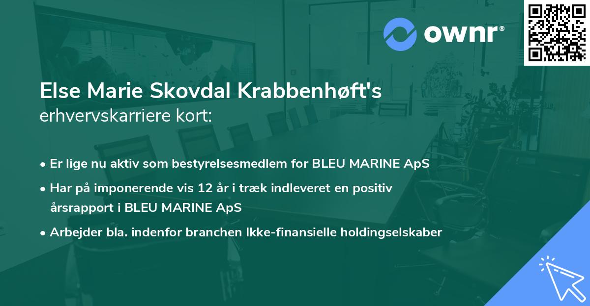 Else Marie Skovdal Krabbenhøft's erhvervskarriere kort