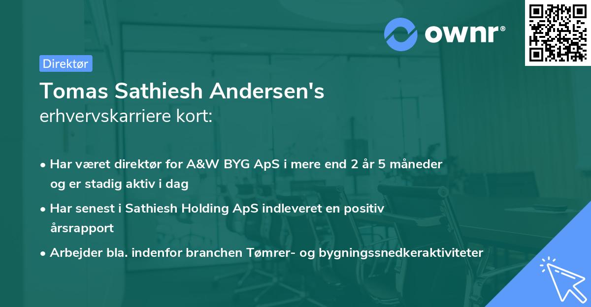 Tomas Sathiesh Andersen's erhvervskarriere kort