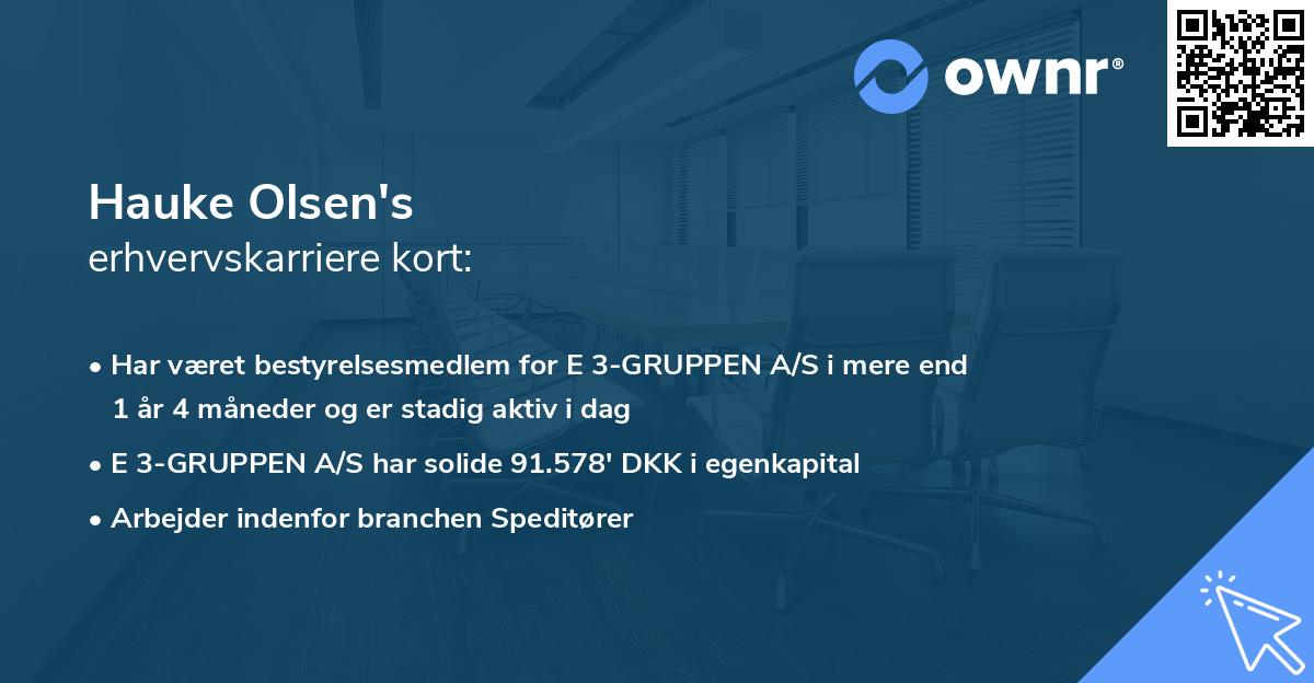 Hauke Olsen's erhvervskarriere kort