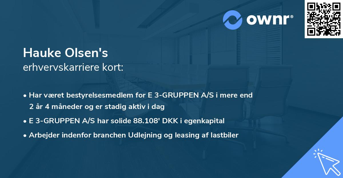 Hauke Olsen's erhvervskarriere kort