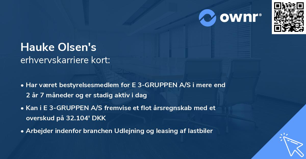 Hauke Olsen's erhvervskarriere kort