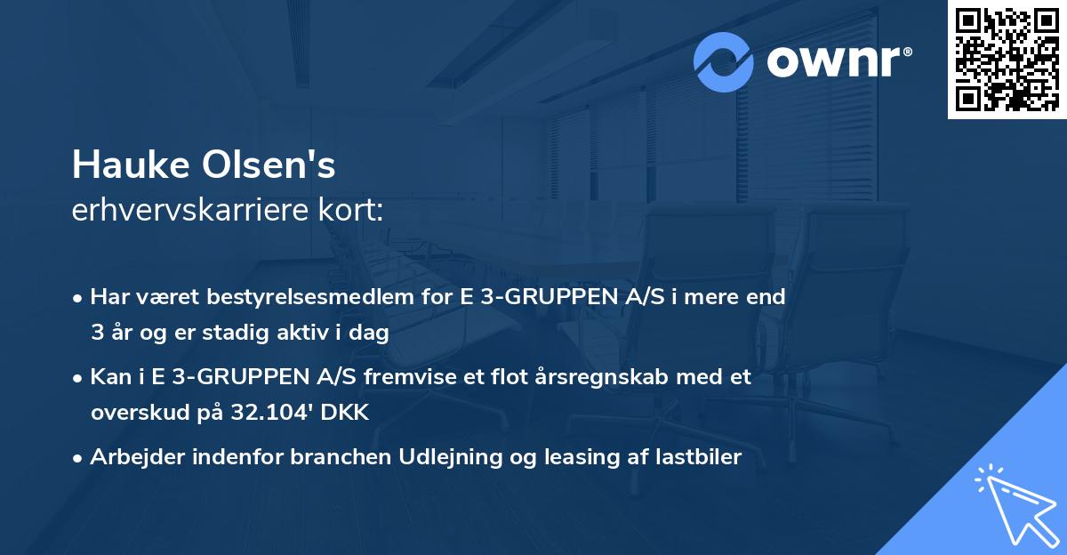 Hauke Olsen's erhvervskarriere kort