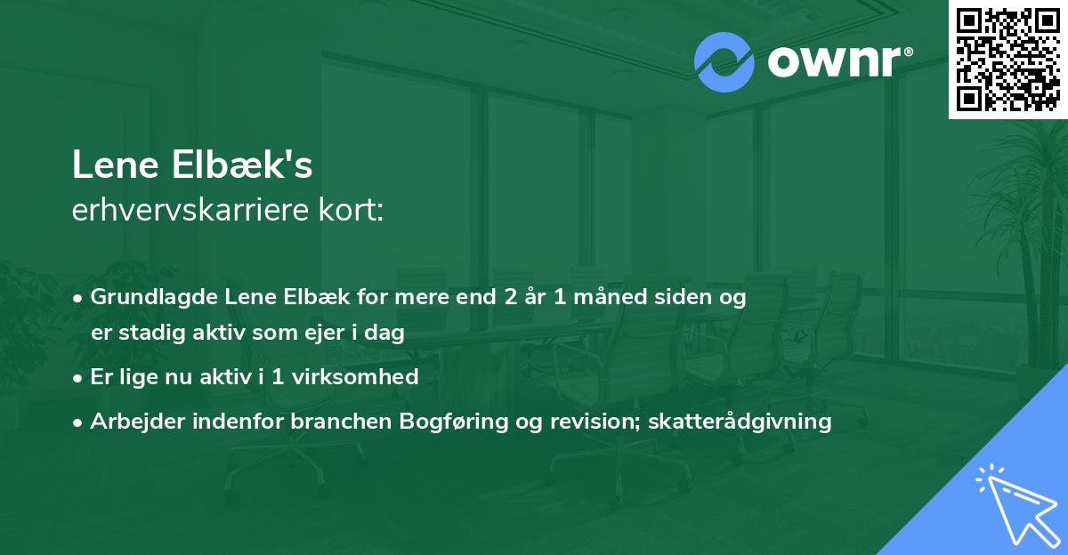 Lene Elbæk's erhvervskarriere kort