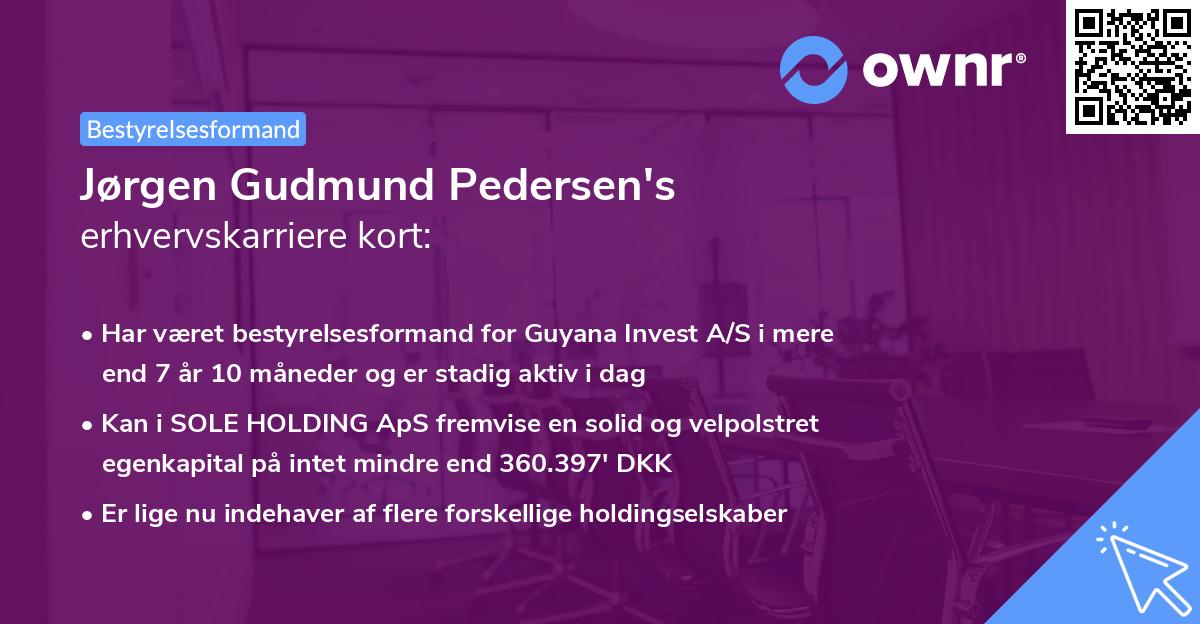 Jørgen Gudmund Pedersen's erhvervskarriere kort