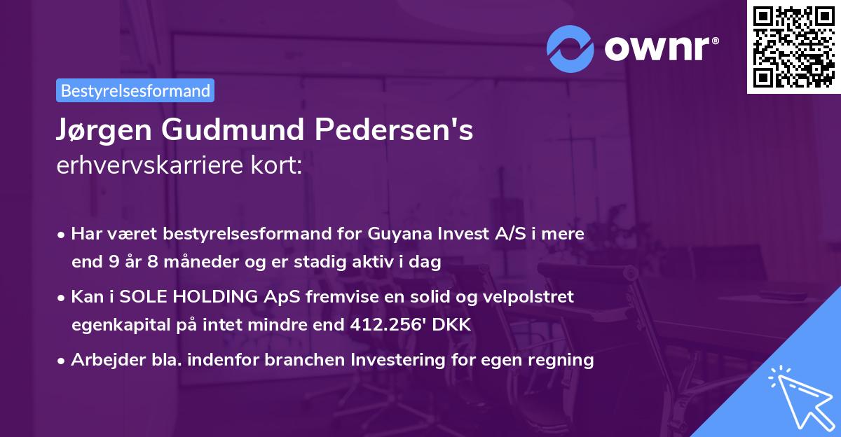 Jørgen Gudmund Pedersen's erhvervskarriere kort
