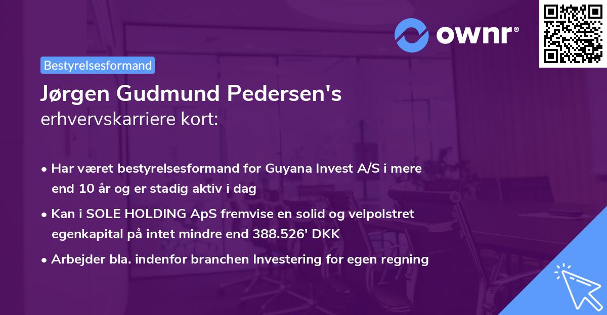 Jørgen Gudmund Pedersen's erhvervskarriere kort