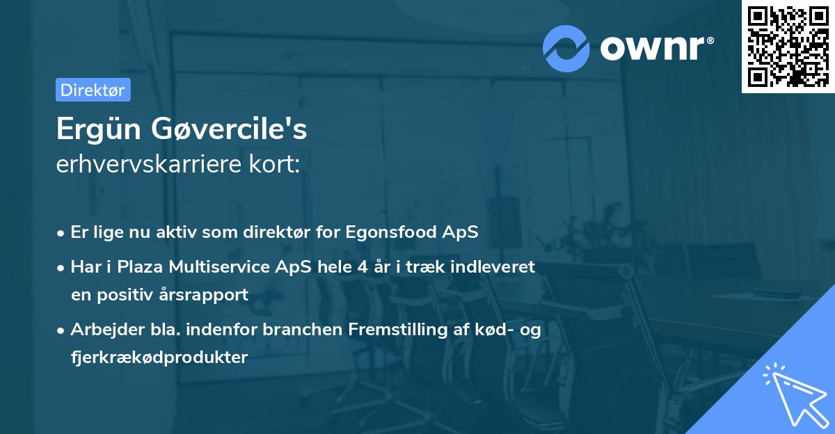 Ergün Gøvercile's erhvervskarriere kort