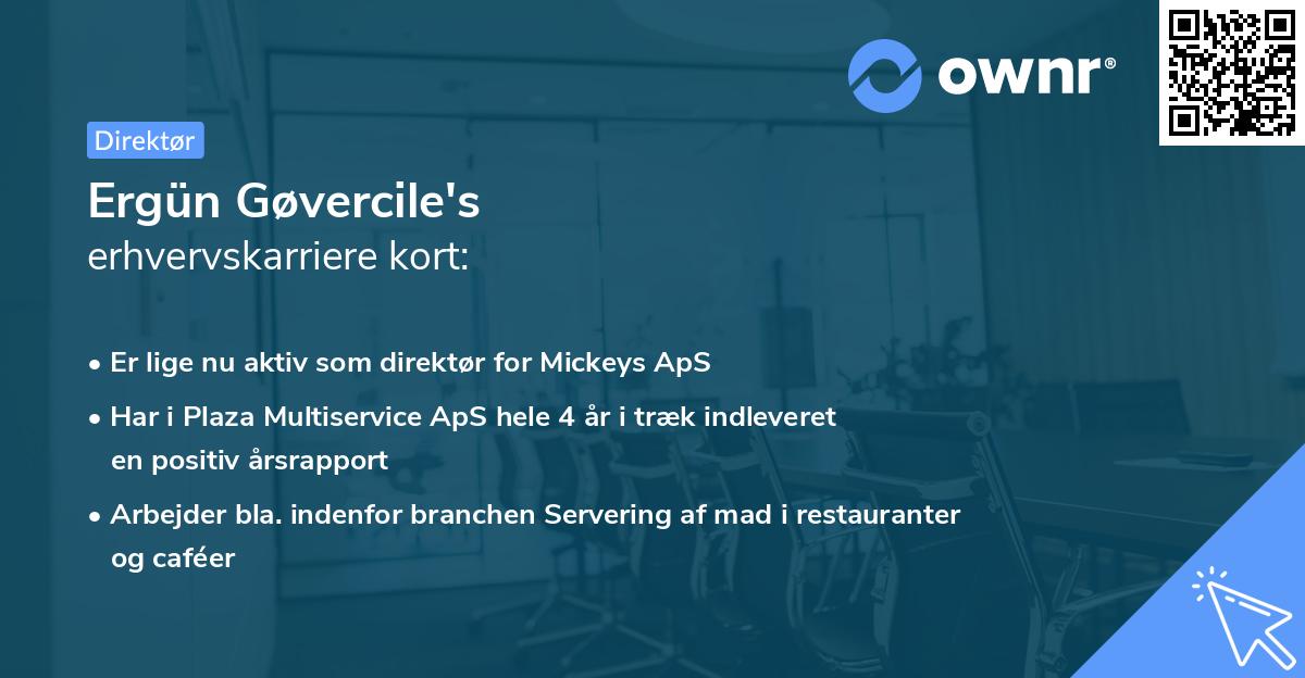 Ergün Gøvercile's erhvervskarriere kort