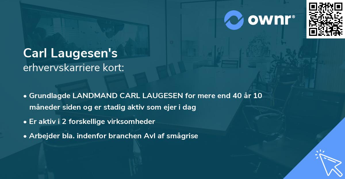 Carl Laugesen's erhvervskarriere kort