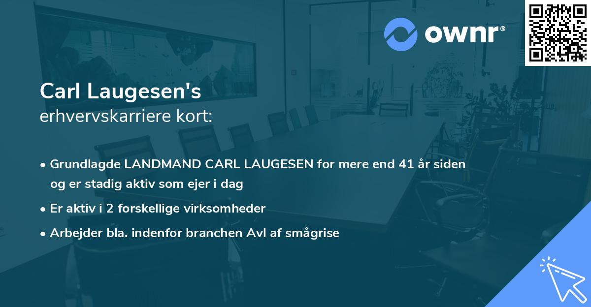 Carl Laugesen's erhvervskarriere kort