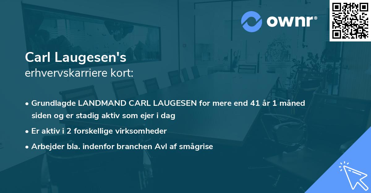 Carl Laugesen's erhvervskarriere kort