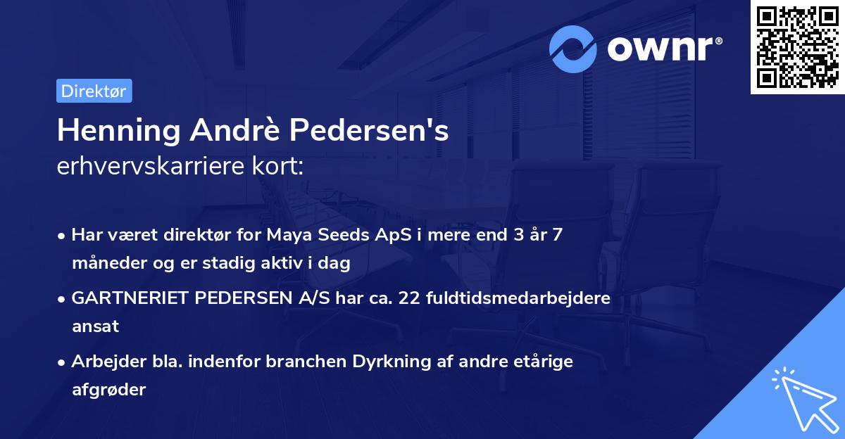 Henning Andrè Pedersen's erhvervskarriere kort