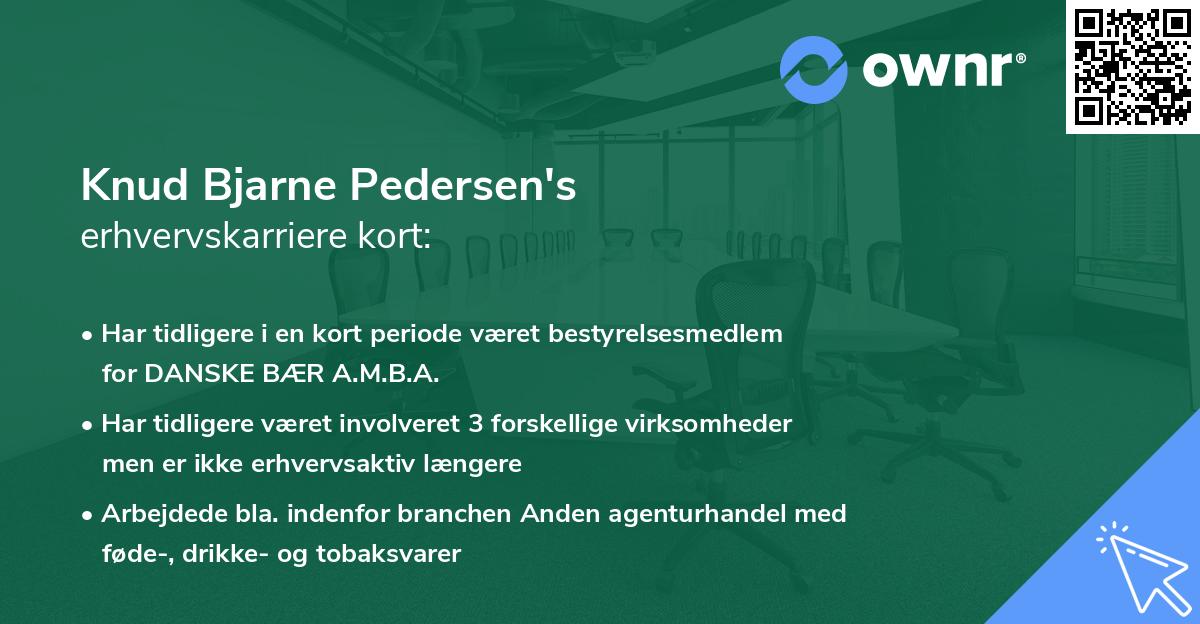Knud Bjarne Pedersen's erhvervskarriere kort