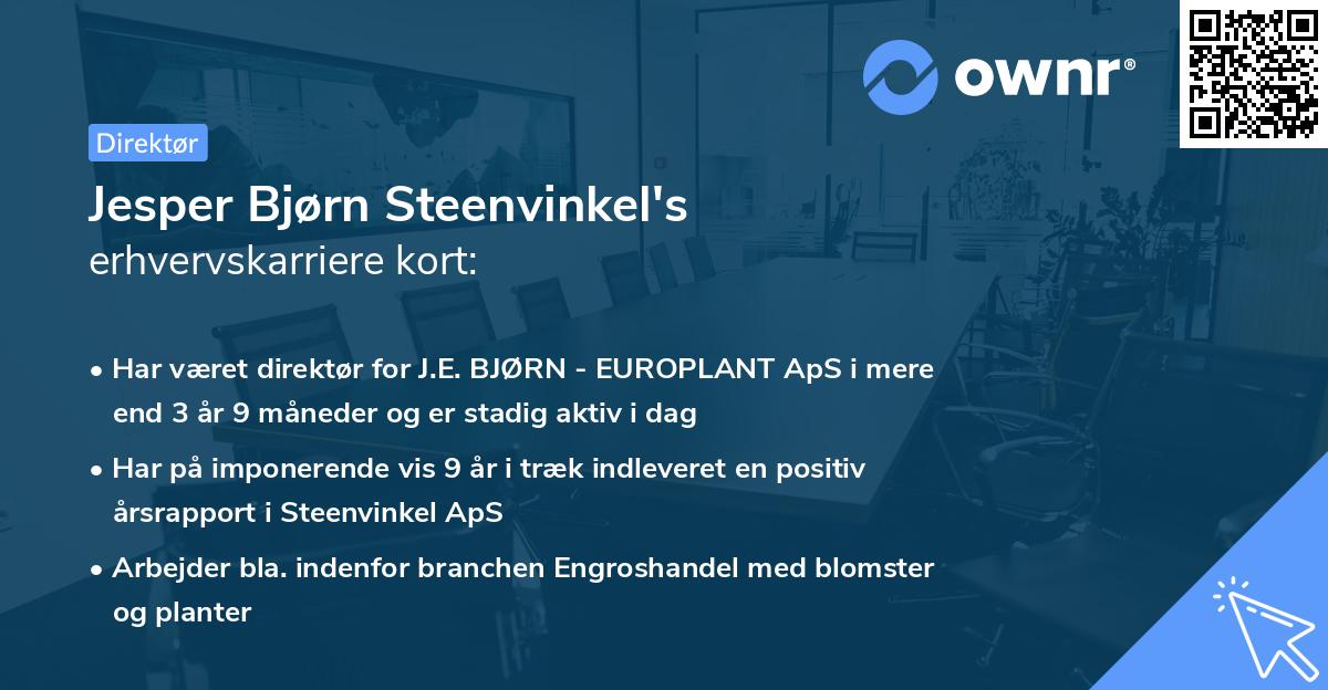 Jesper Bjørn Steenvinkel's erhvervskarriere kort