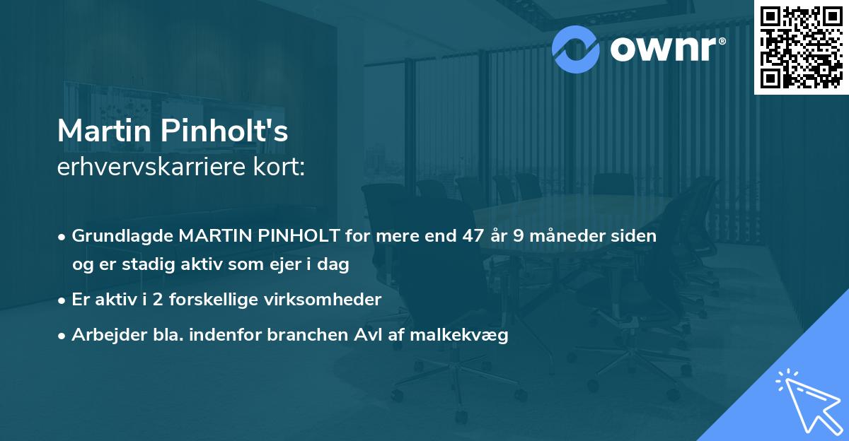 Martin Pinholt's erhvervskarriere kort