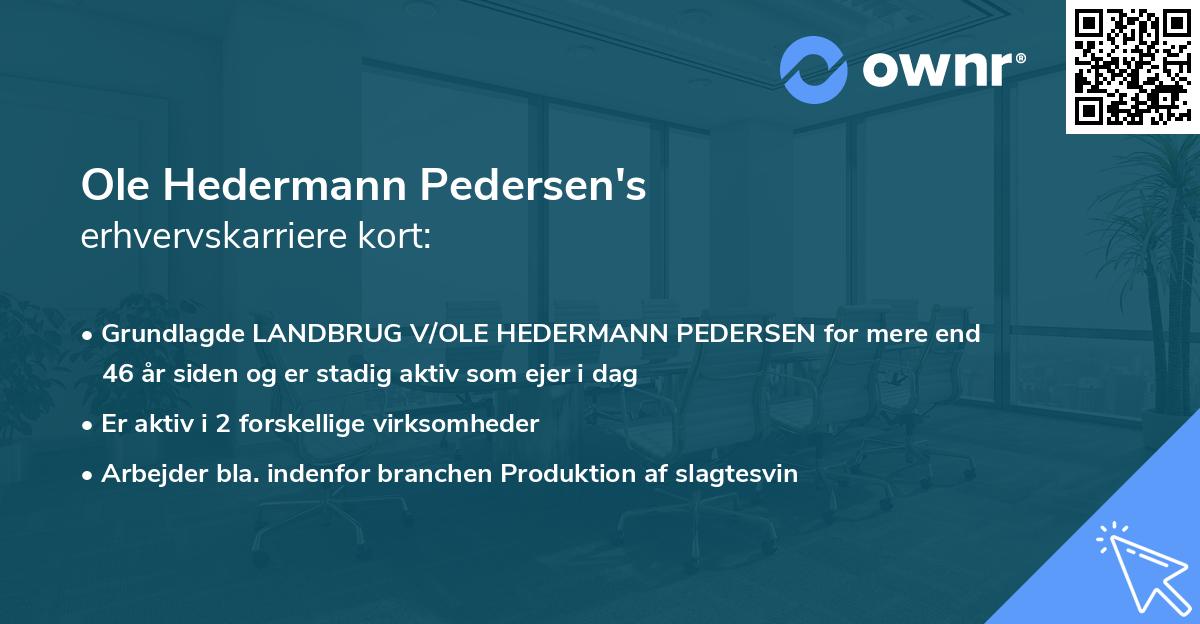 Ole Hedermann Pedersen's erhvervskarriere kort