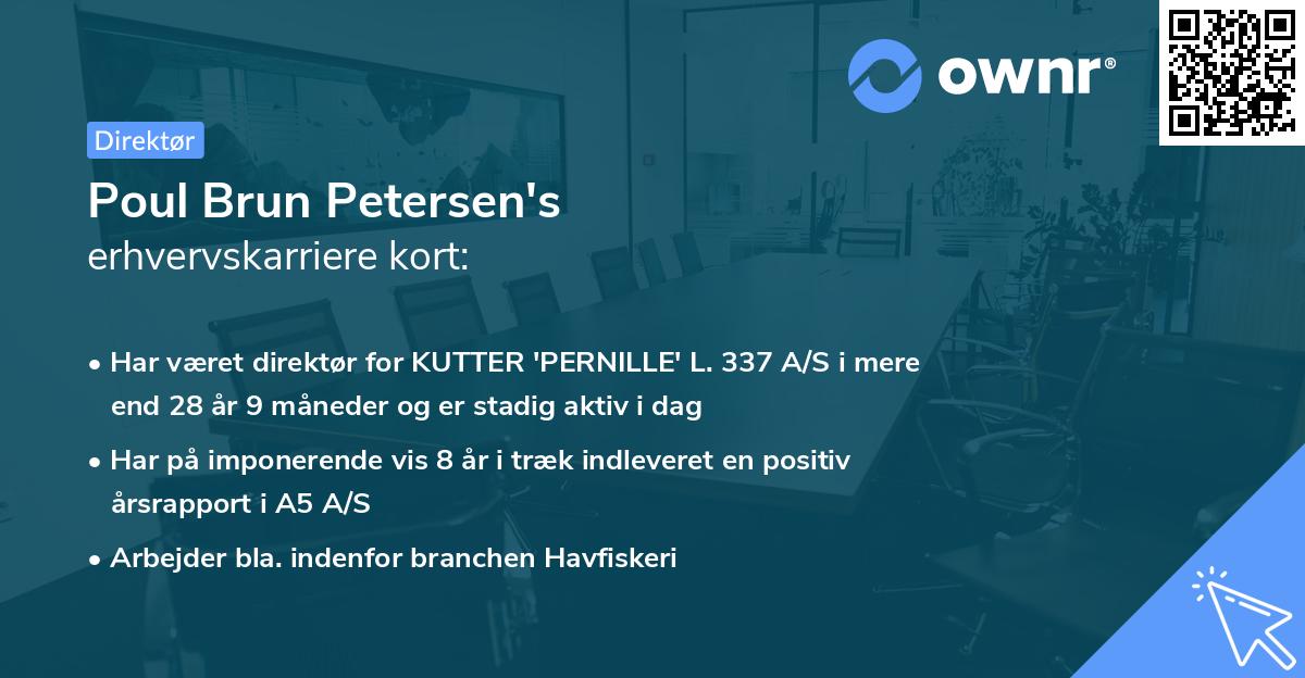 Poul Brun Petersen's erhvervskarriere kort