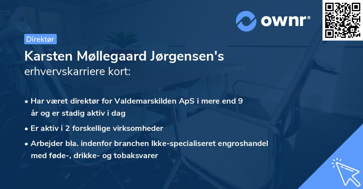 Karsten Møllegaard Jørgensen's erhvervskarriere kort