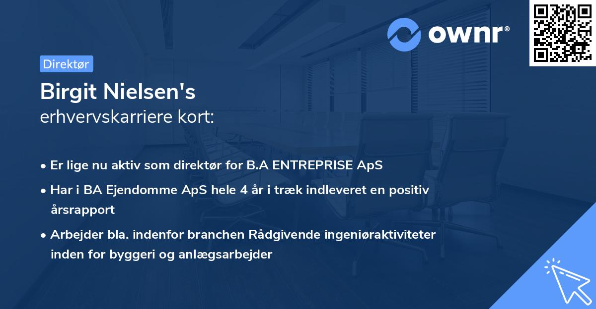 Birgit Nielsen's erhvervskarriere kort