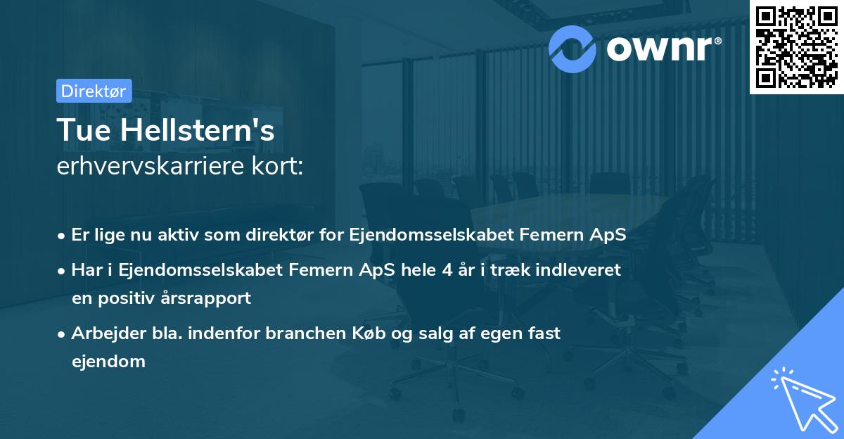 Tue Hellstern's erhvervskarriere kort