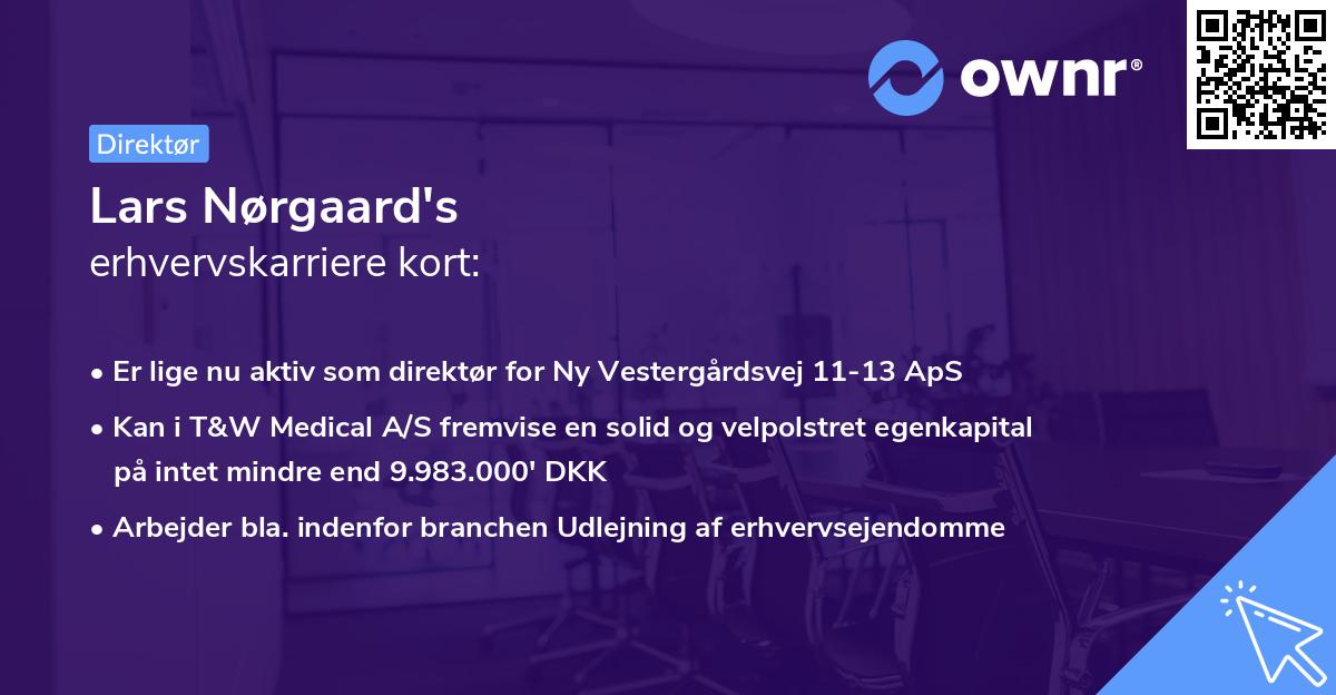 Lars Nørgaard's erhvervskarriere kort