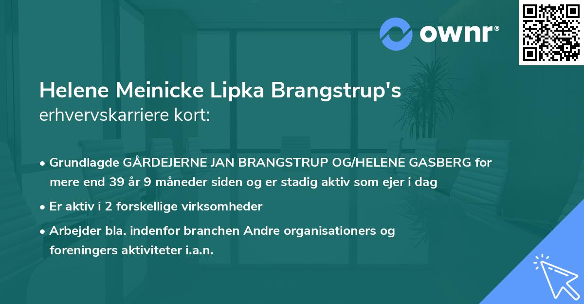 Helene Meinicke Lipka Brangstrup's erhvervskarriere kort