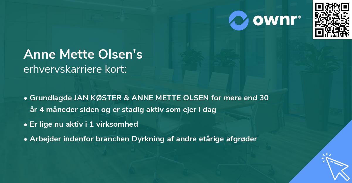 Anne Mette Olsen's erhvervskarriere kort