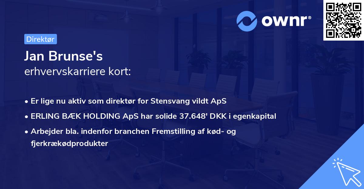 Jan Brunse's erhvervskarriere kort