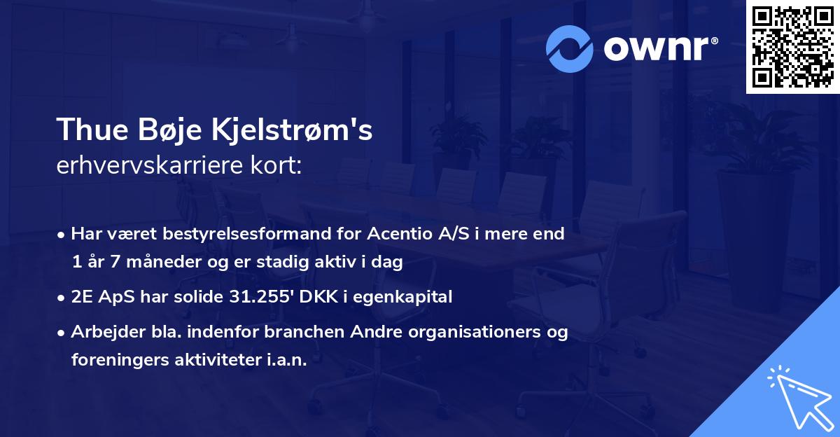 Thue Bøje Kjelstrøm's erhvervskarriere kort