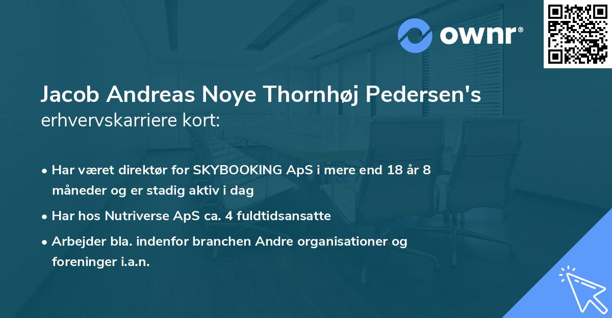 Jacob Andreas Noye Thornhøj Pedersen's erhvervskarriere kort