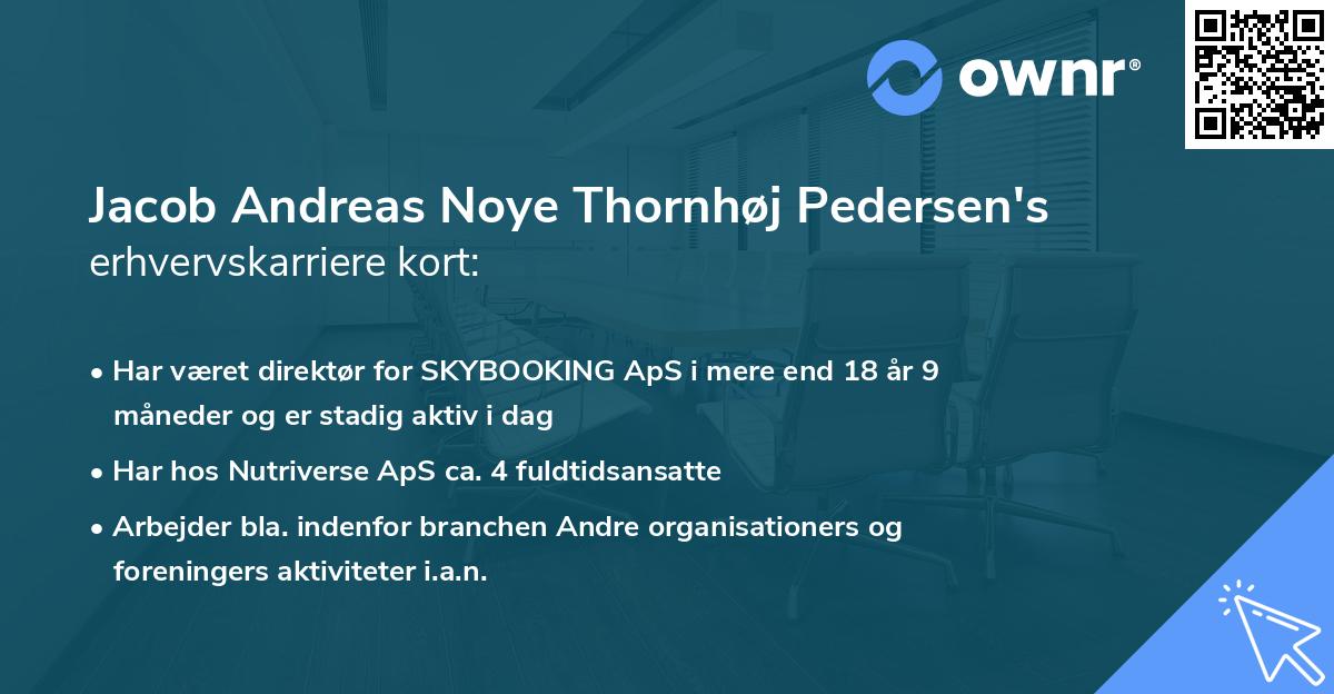 Jacob Andreas Noye Thornhøj Pedersen's erhvervskarriere kort