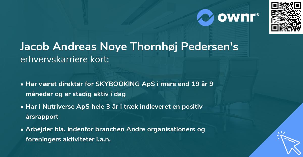 Jacob Andreas Noye Thornhøj Pedersen's erhvervskarriere kort