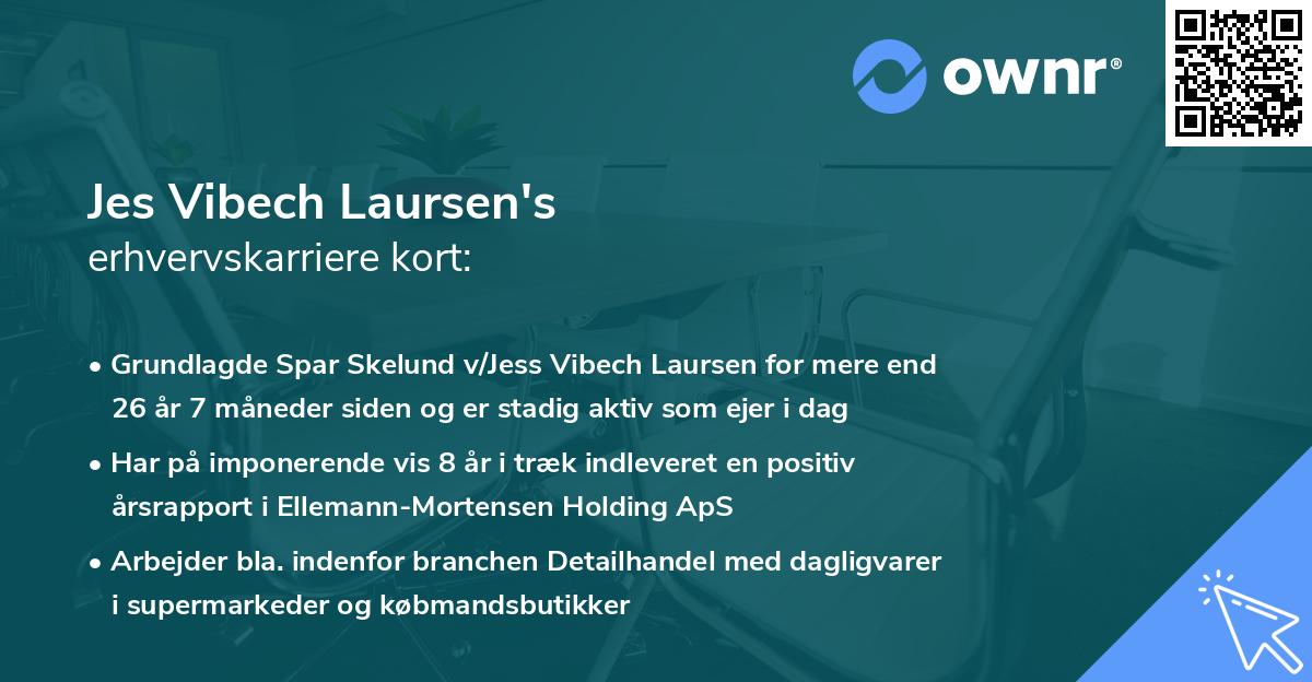 Jes Vibech Laursen's erhvervskarriere kort