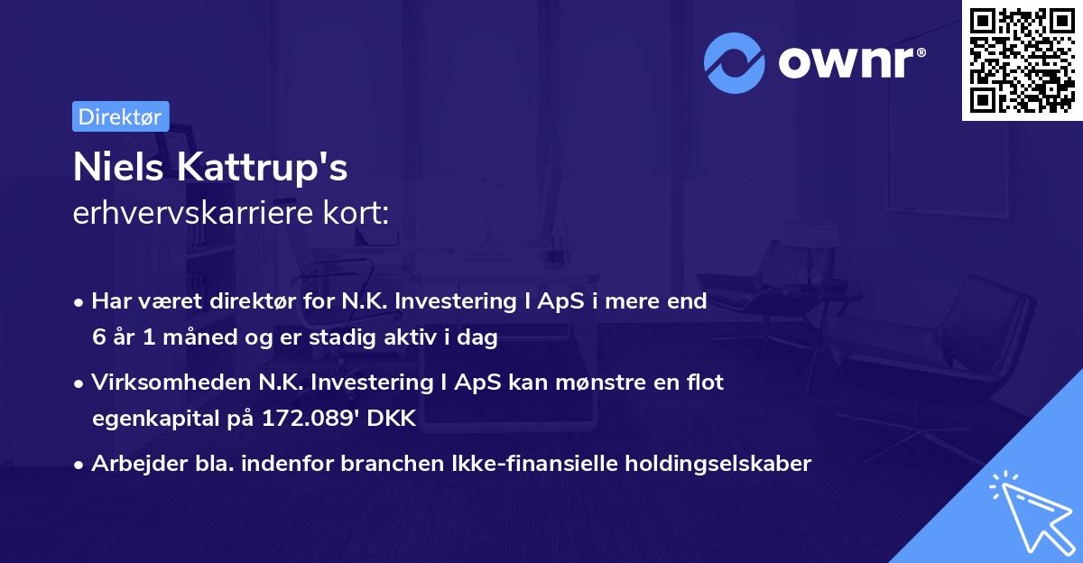 Niels Kattrup's erhvervskarriere kort