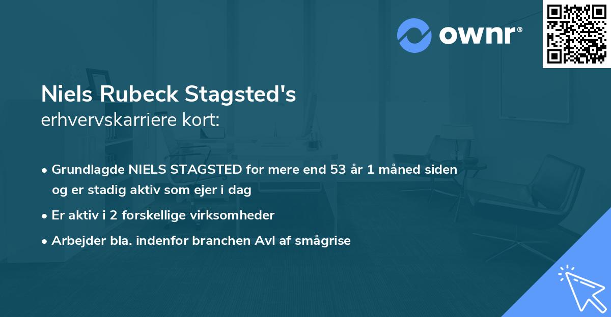 Niels Rubeck Stagsted's erhvervskarriere kort