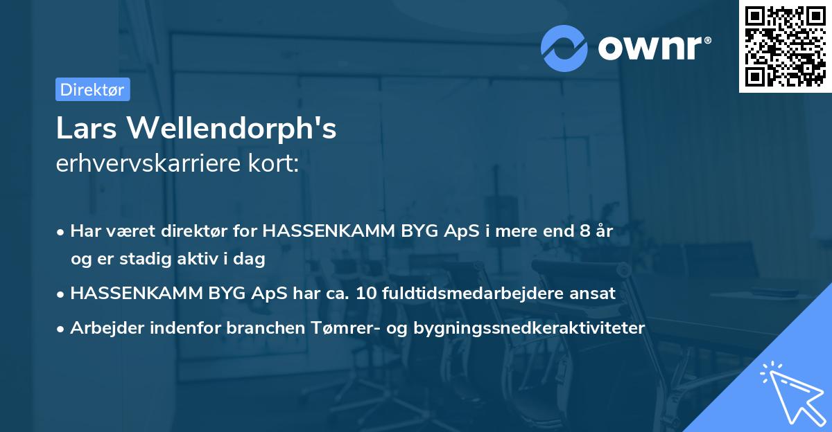 Lars Wellendorph's erhvervskarriere kort
