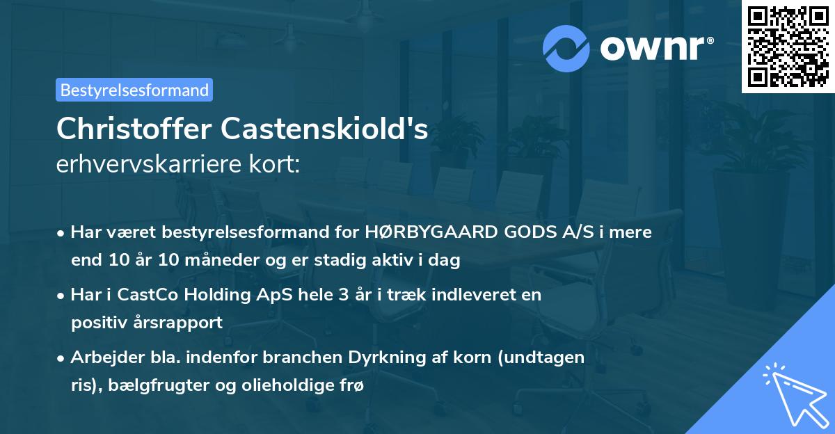 Christoffer Castenskiold's erhvervskarriere kort