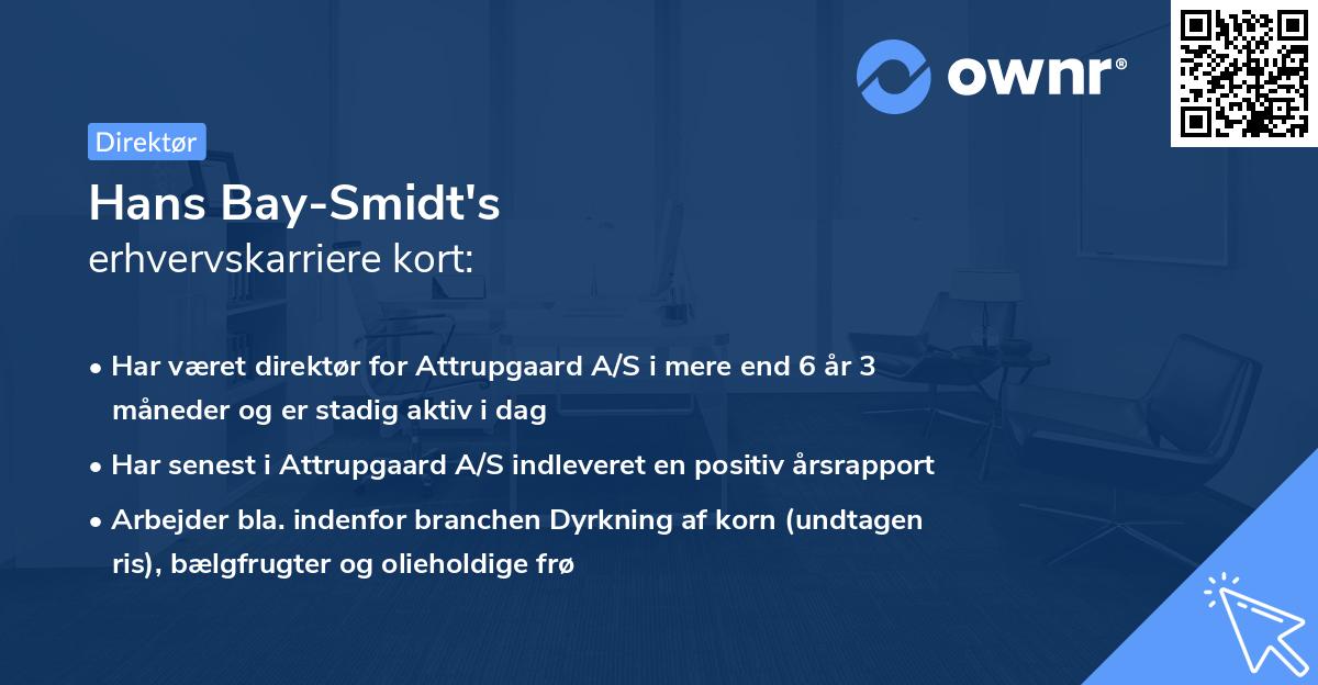 Hans Bay-Smidt's erhvervskarriere kort